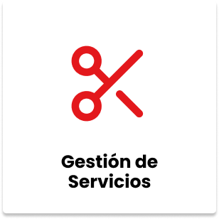 icono-gestion-servicios